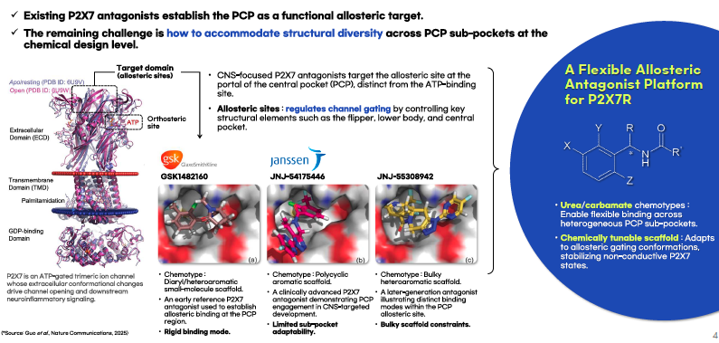 A Urea/Carbamate-Based Allosteric Antagonist Platform for Functional Modulation of P2X7 Signaling in CNS Neuroinflammation.