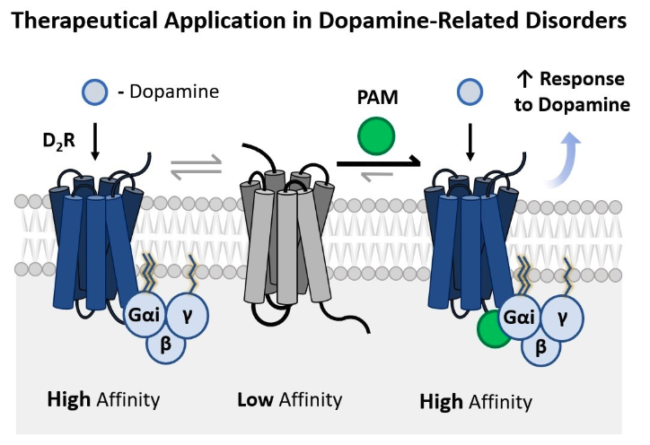 Melanostatin azapeptides for the treatment of dopamine-related disorders