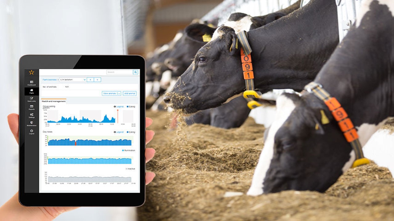 Seeking cattle livestock management system (integrated with existing infosystem)