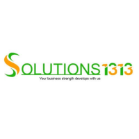 Solutions 1313