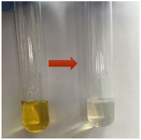 NOVEL ORAL DELIVERY PLATFORM FOR LIPOPHILIC DRUGS BASED ON PRO-NANO ...