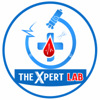 The Xpert Lab