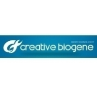 Creative Biogene