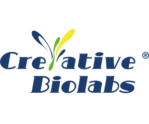 AI-Driven Antibody Solutions to Accelerate Drug Development