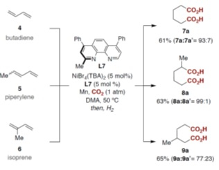 Adipic acid(s) prepared by catalytic carboxylation of 1,3-butadiene