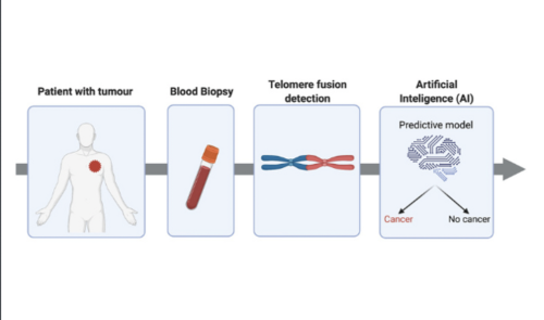 Liquid biopsy for early detection of cancer or precision medicine