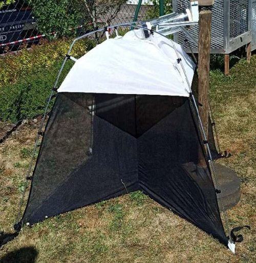 Non-lethal system for surveying and/or monitoring animals and in particular flying insects